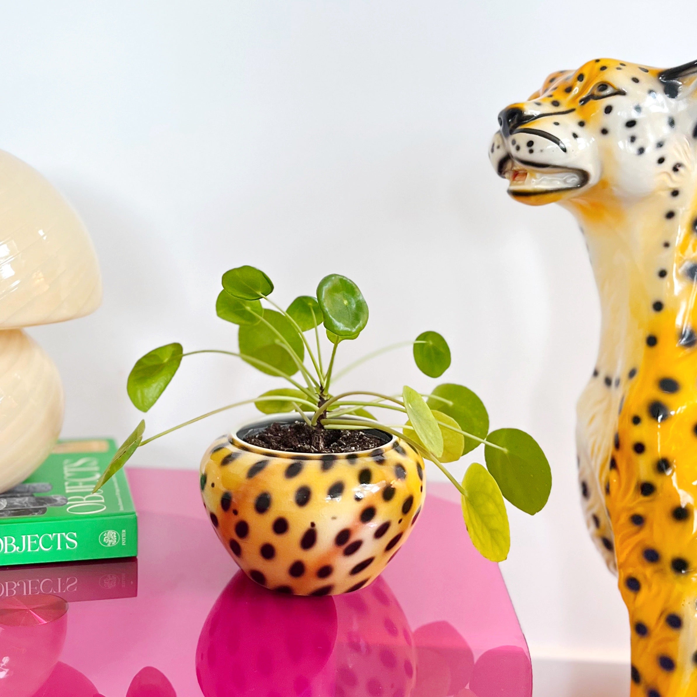 leopard plant pot Vintage ceramic leopard cachepot – CLUB BARBARA