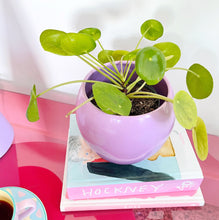 Charger l'image dans la galerie, Cache-pot vintage lilas