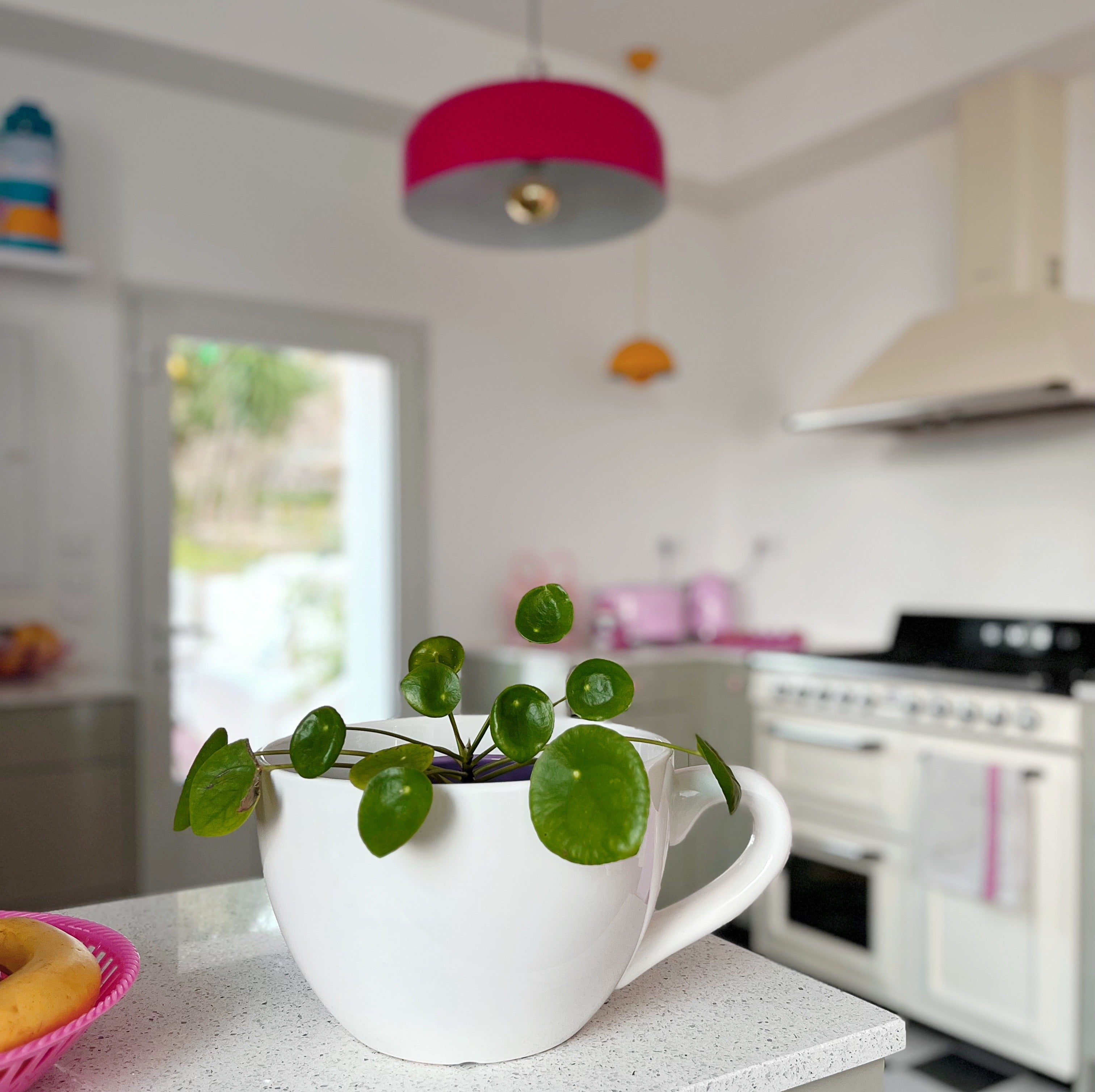 Maxi cache-pot en céramique tasse