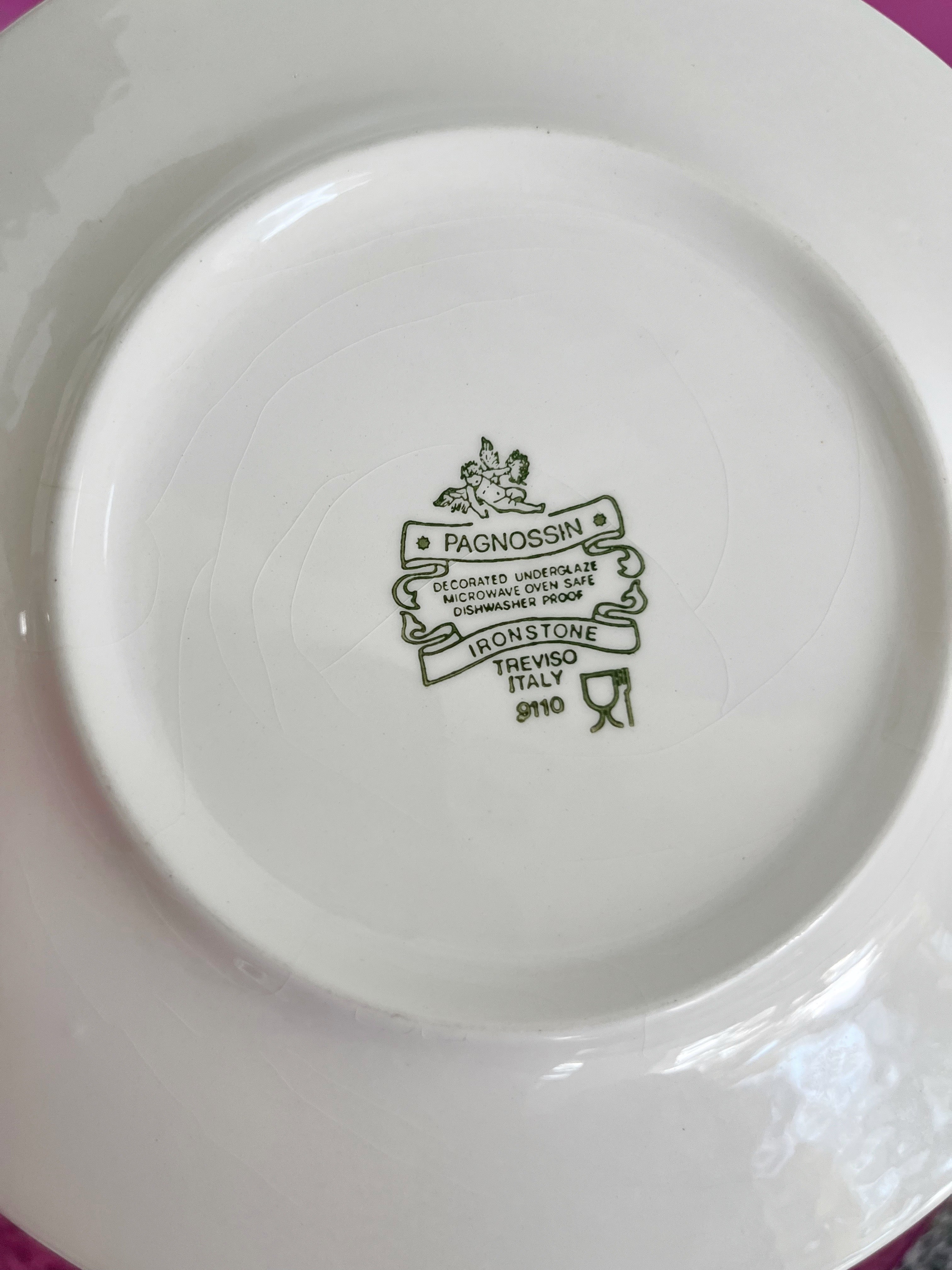 Assiettes collection "Arizona" vintage maison Pagnossin made in Italy