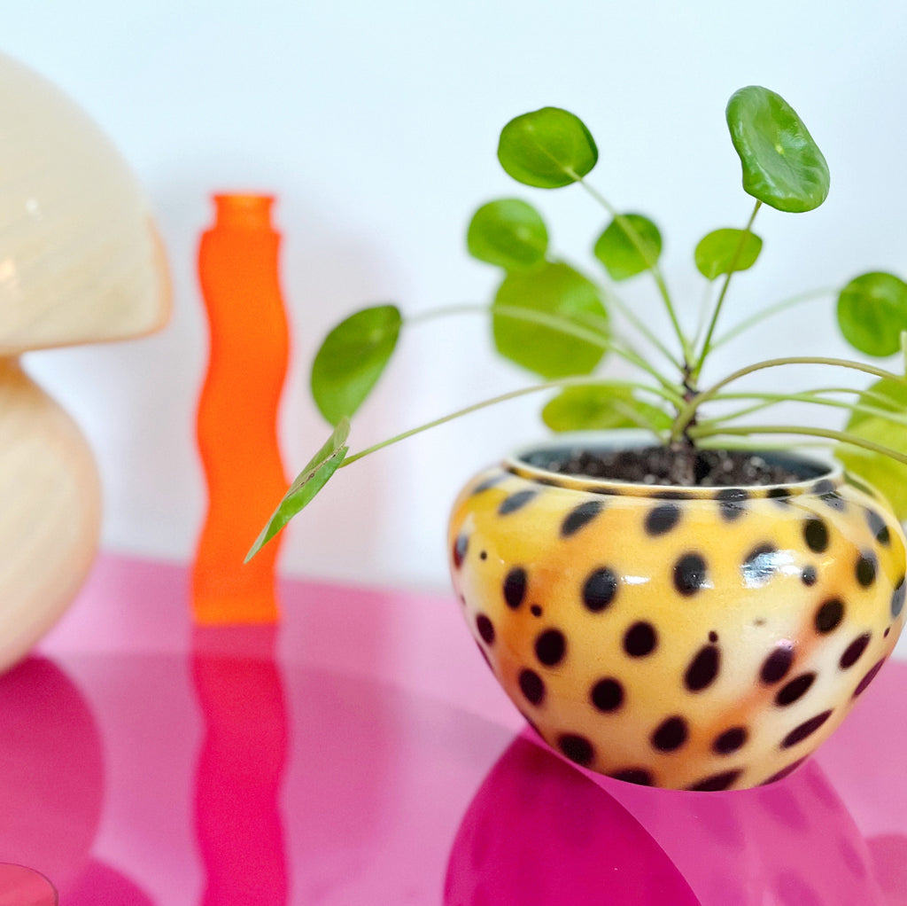 Cache-pot vintage céramique léopard