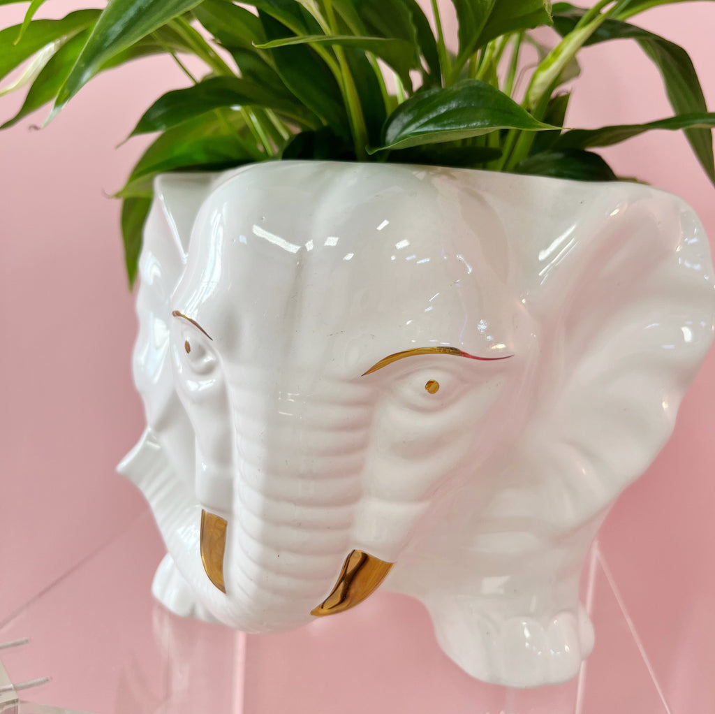 Cache-pot éléphant vintage