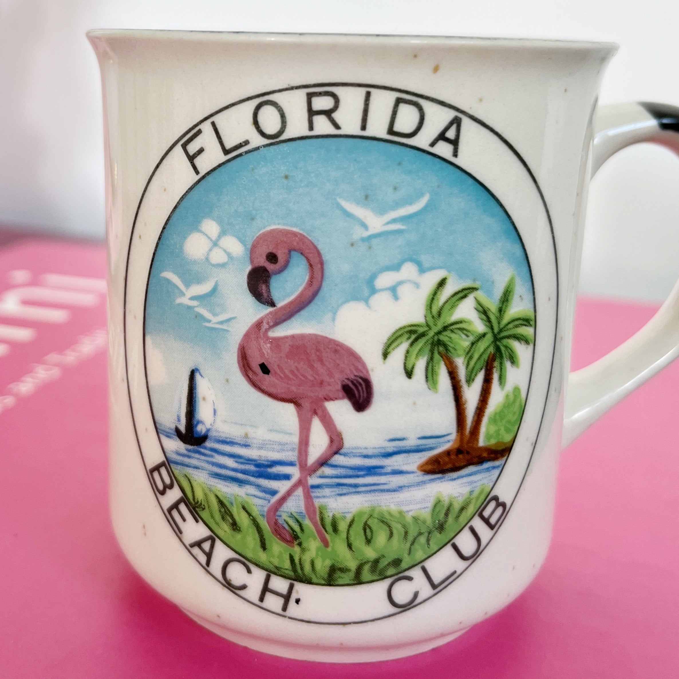 Vintage Florida Mug