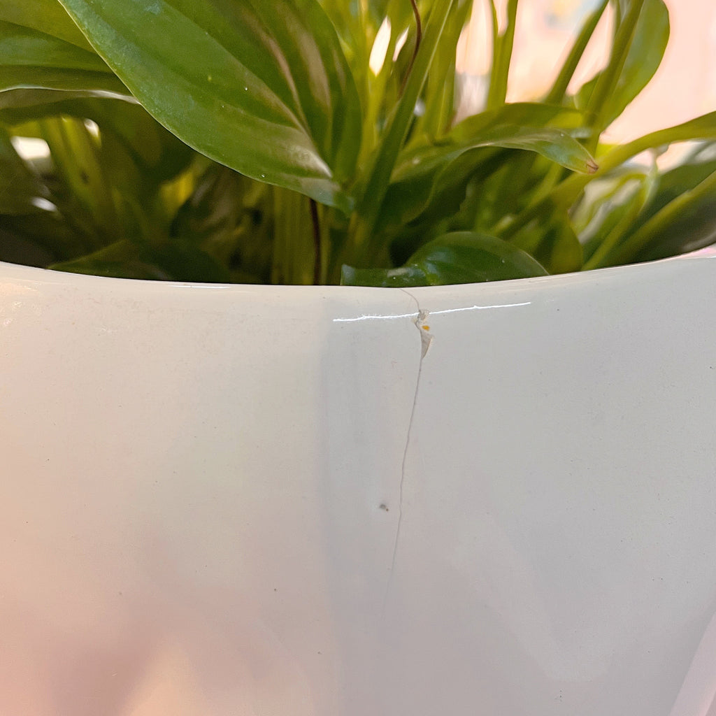 Cache-pot éléphant vintage