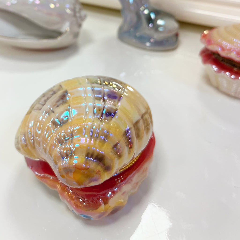 Coffret à bijoux coquillage irisé