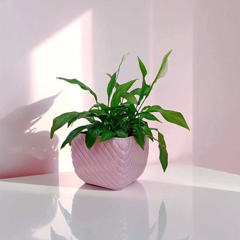 Cache-pot vintage italien, céramique rose, torsade et filets dorés, années 70
