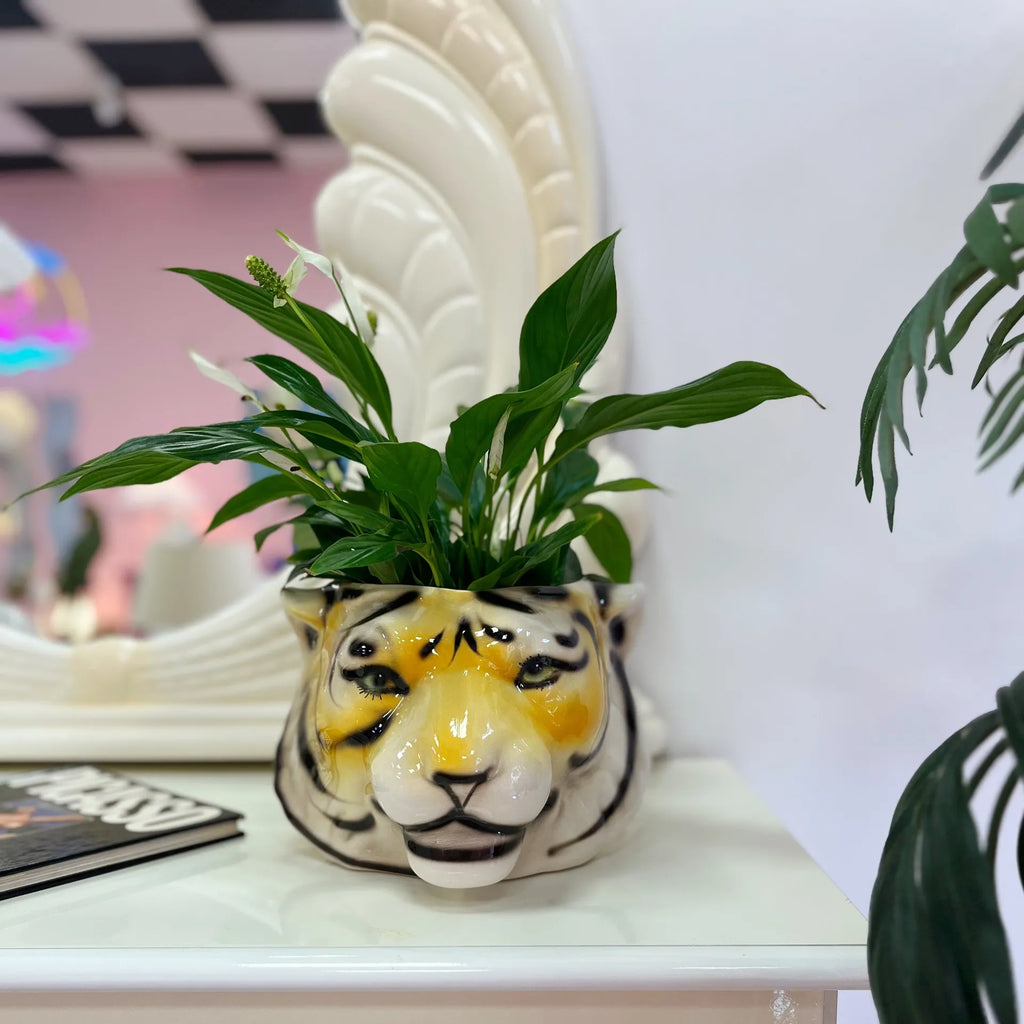 Cache-pot tigre vintage - Club Barbara