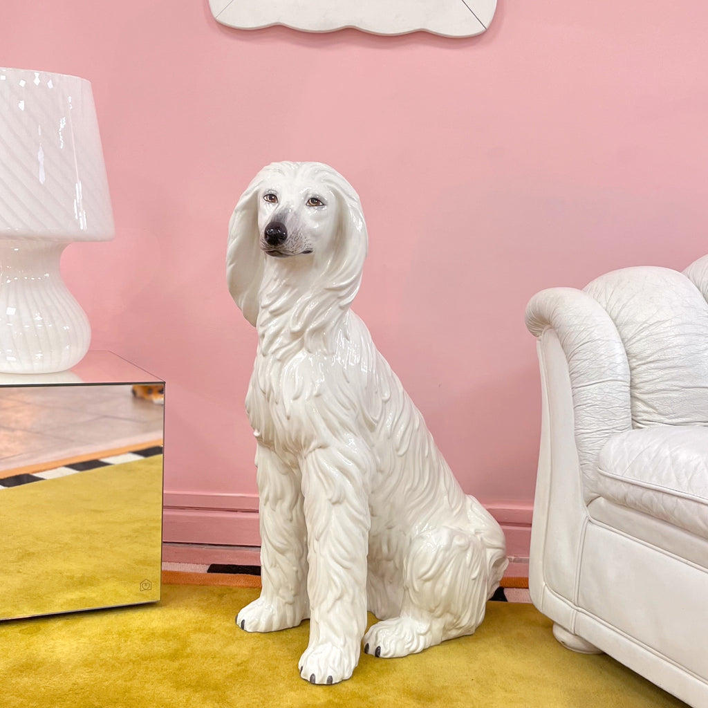 levrier-afghan-vintage