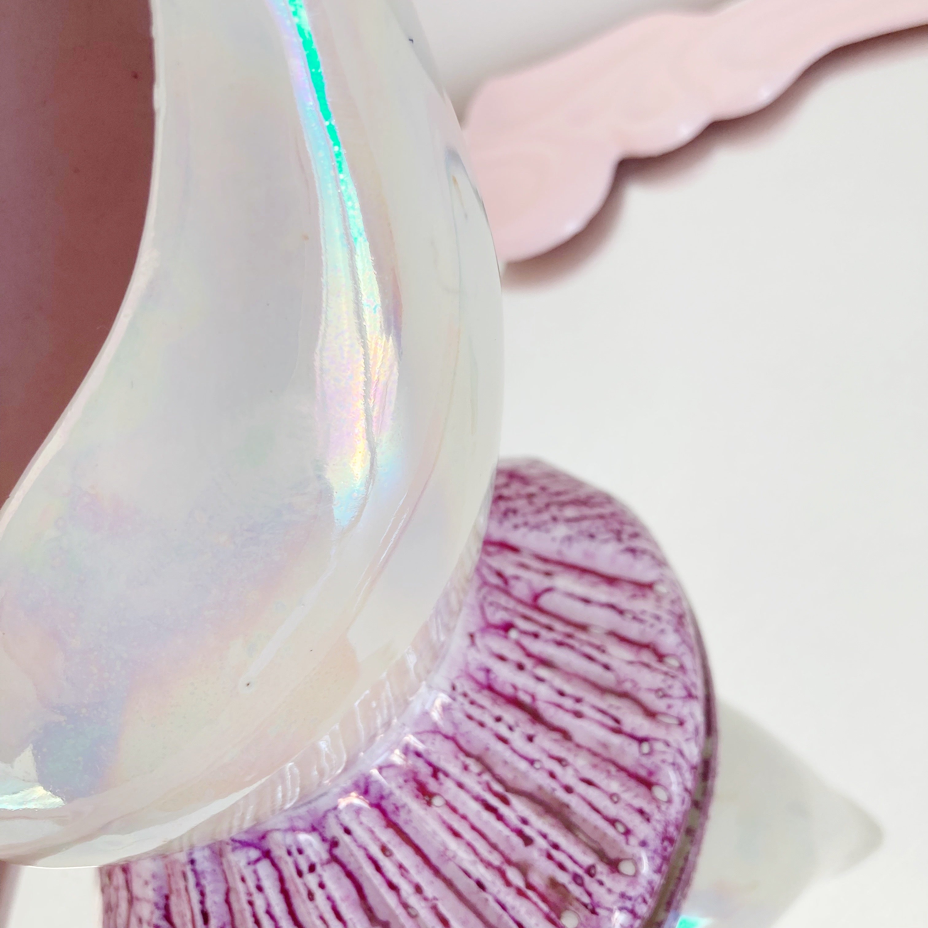 Lampe coquillage vintage