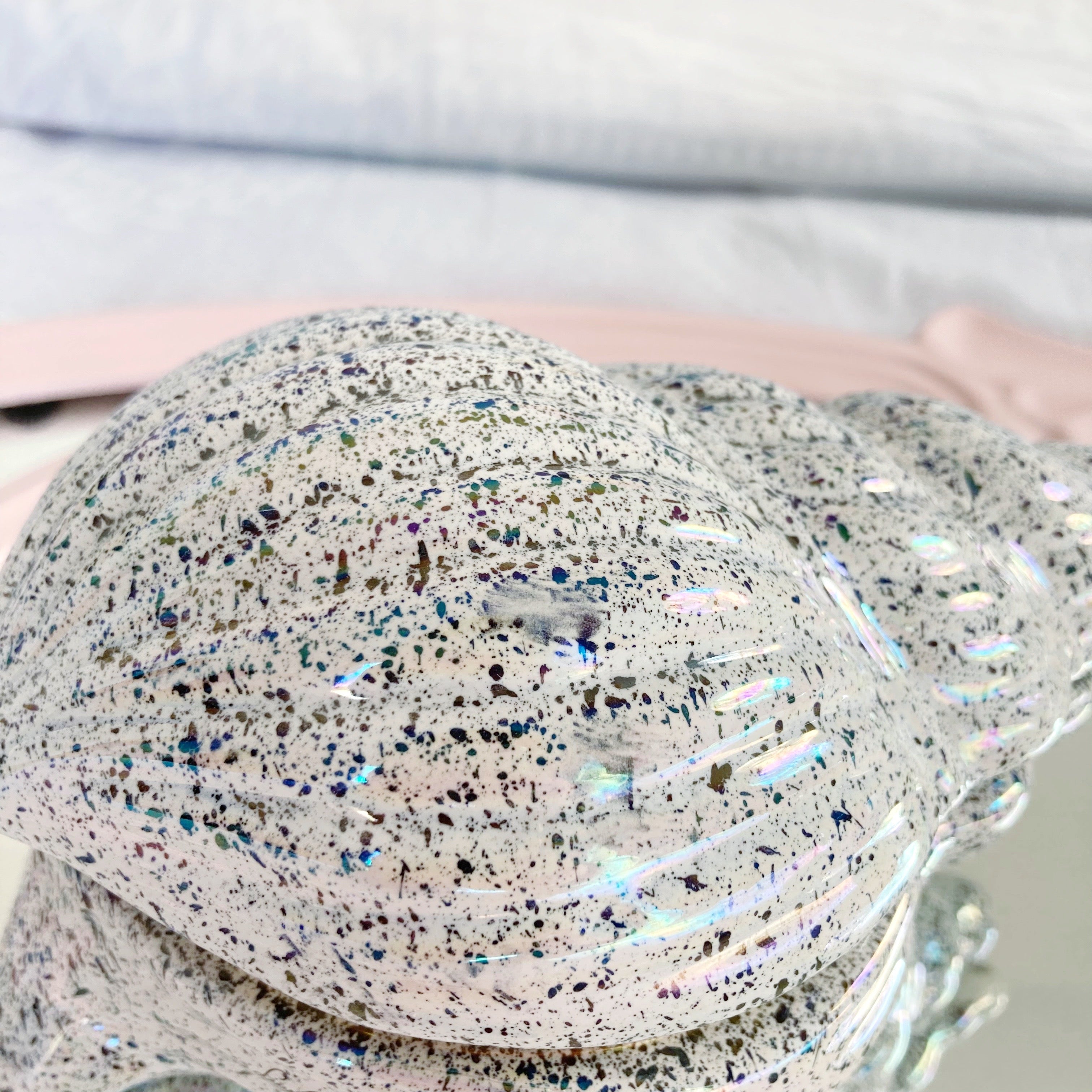 Boîte coquillage mouchetée iridescente