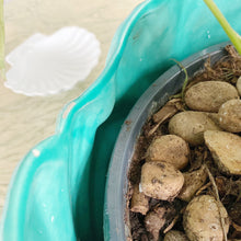 Load image into Gallery viewer, Large iridescent green shell planter
